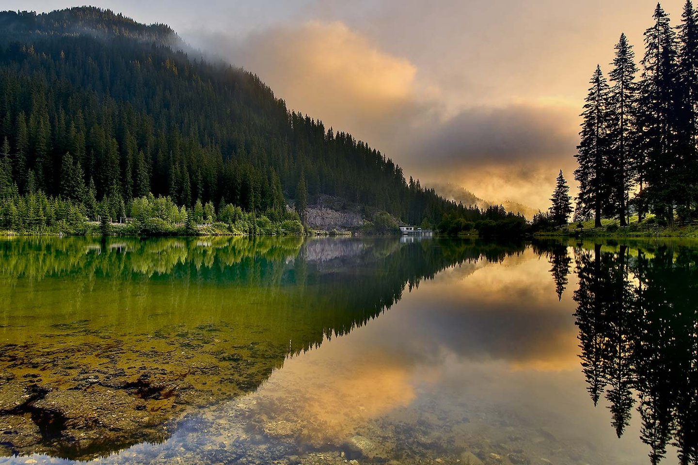 Spiegelung von Wald und Himmel in einem Bergsee am Arlberg